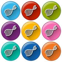 Buttons with DNA symbols vector