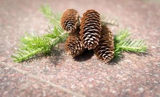Pine Cones on Stone with Green Branches photo