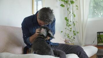 Slow motion of man stroking pet dog on couch video