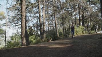 cámara lenta de mujer joven corriendo en el bosque video