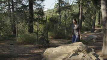 Slow motion of young woman walking through woods video