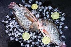 Fresh tilapia fishes on ice with lemons photo