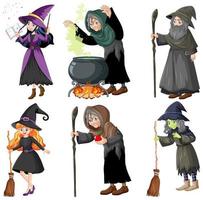 Set of wizard or witches with magic tools  vector