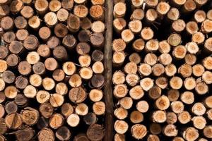 Close up of pile of wood logs photo