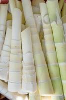 Cerca de brotes de bambú crudo