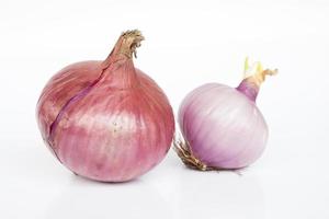 Shallots on white background photo