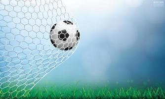 Soccer or football over net with grass and bokeh vector