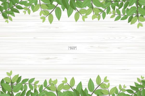 Wood texture with green leaf top and bottom border