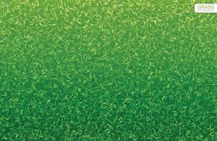 Green lawn grass texture vector