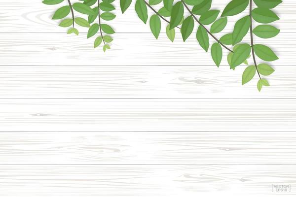 Wood background with green leaves along top