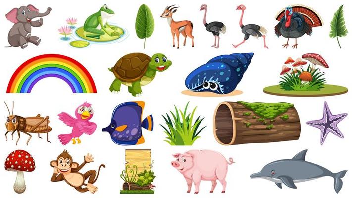 Set of different animals and plant objects