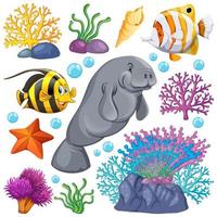 Set of sea creatures and coral on white vector