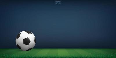 Soccer ball or football on green grass field