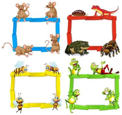 Empty colorful wood frames with animals and insects