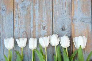 White tulips in row with empty space on old wood