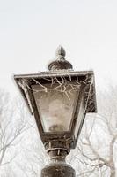 Lamp Frost photo