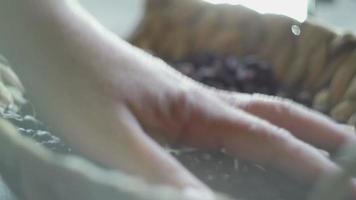 Frau, die in der Handfläche einer Handvoll Kaffeebecher aufhebt video