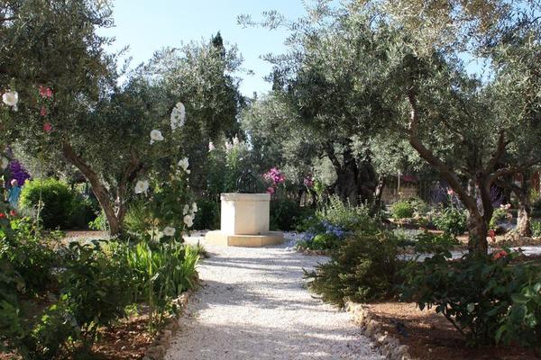 Gethsemane Garden In Jerum 1350430, How Much Do Landscapers Charge To Plant A Tree In Israel