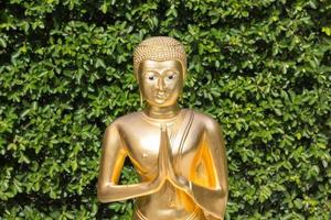 Buddha statue photo