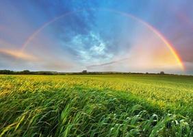 Rainbow over spring field photo