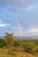 Beautiful double rainbow over Serengeti savanna plain at dawn