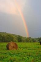 Rainbow over field photo