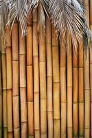 pared de bambú foto
