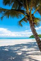 Beautiful tropical beach with white sand and blue waters photo