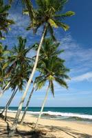 Tangalle beach in Sri Lanka photo