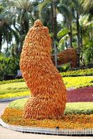 natural sculpture of an ear of corn