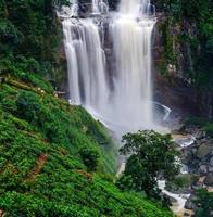 waterfall Ramboda photo