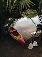 Kayak and Paddles photo