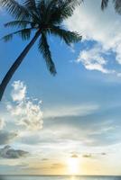 silueta de palmera y puesta de sol tropical foto
