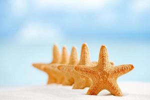 red starfish with ocean, beach, sky and seascape, shallow dof photo