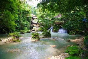 Rainforest Village photo