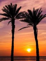 Sunset in Agadir, Morocco photo