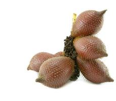 Zalacca fruit isolated on white background photo