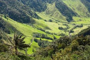 Cocora Valley, Natural Park of Colombia