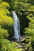 Dominica - Waterfall photo
