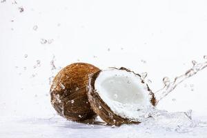 cracked coconut photo