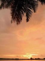 Sunset with tropical tree silhouette