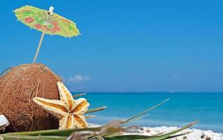 coconut under parasol photo