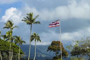 Hawaiian Flag photo