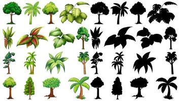 Set of plants and trees with silhouettes vector