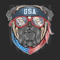 Bulldog with USA flag bandana  vector