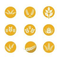 Wheat icon set vector