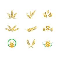 Wheat icon set of nine vector