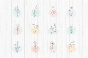 Botanical Plants with Highlights Set vector