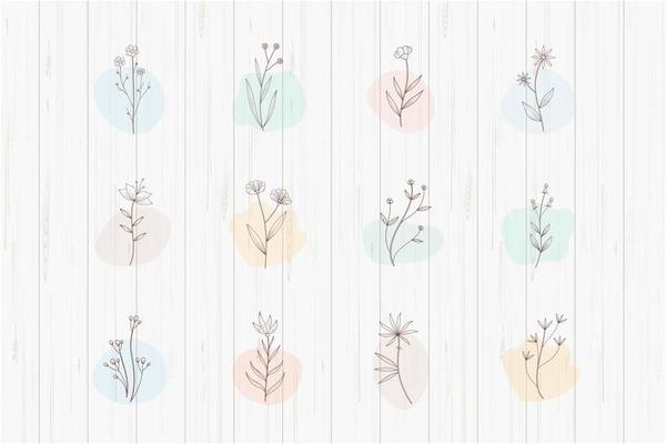 Botanical Plants with Highlights Set