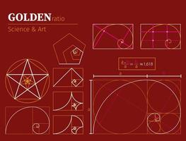 Golden ratio diagram science and art set vector